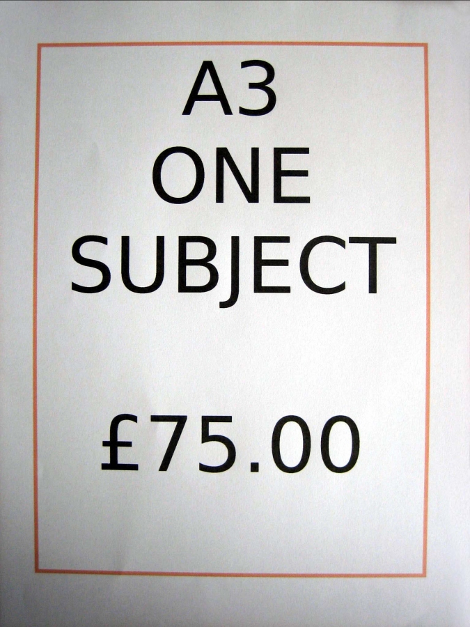 Order A3 One Subject