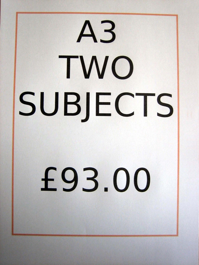 Order A3 Two Subjects