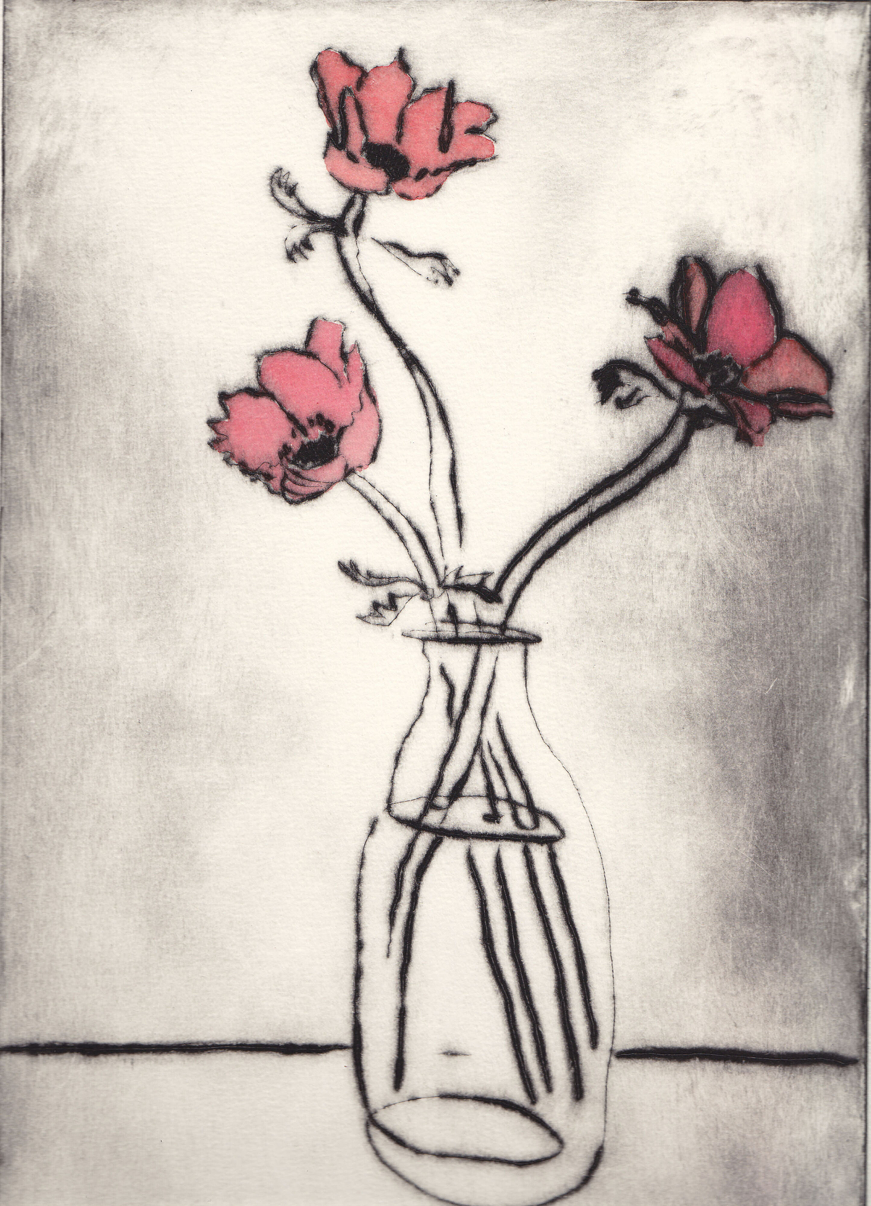 anemones-