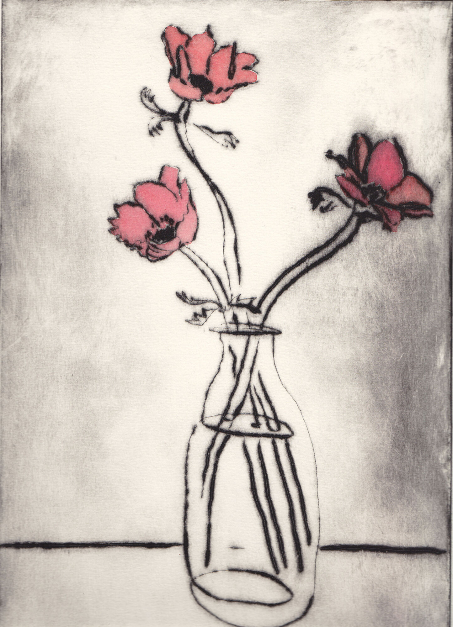 anemones-