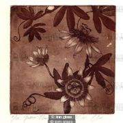 passionflower