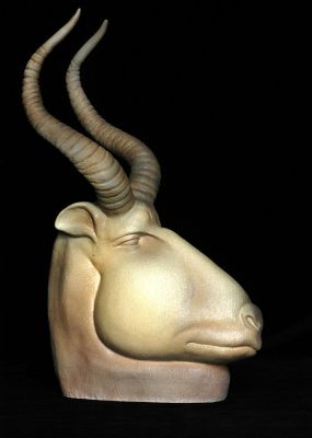Antelope by Jackie Summerfield
