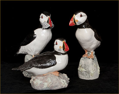 Jackie Summerfield Puffins