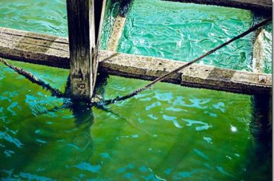Simon Royer  Pier
