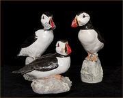 Jackie Summerfield Puffins