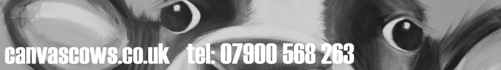 art by jenny bardell     t:07900 568 263