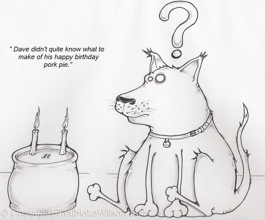 Dogs Dinner