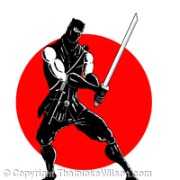 Ninja