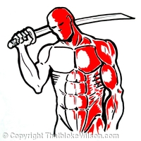Anatomy
