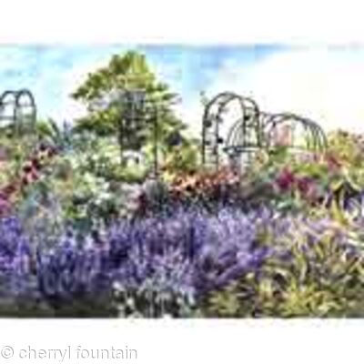 Rose Garden at Mount Ephraim