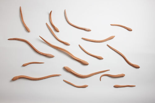 eel's 