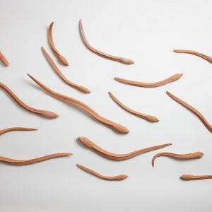 eel's 