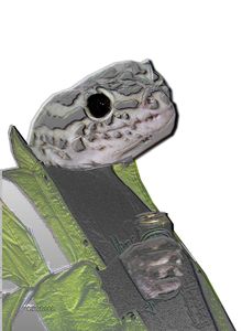 3507