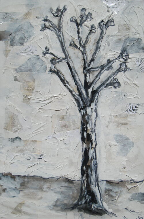 Black and white tree black and white tree photos. Black and white tree