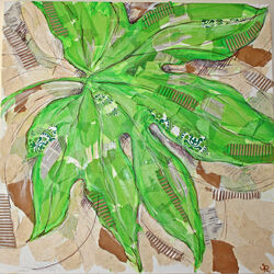 Lime leaf
