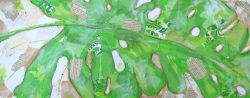 Small lime leaf