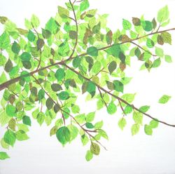 Sunlight on leaves