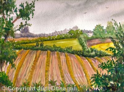 penndale-large-view1