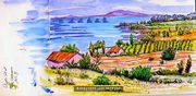 Oyster farming Languedoc
