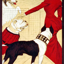 Dog Show