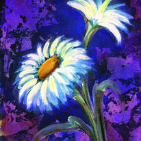 Daisy