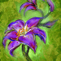 Lily