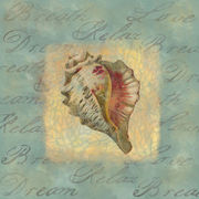 Spa Sea Shell 3