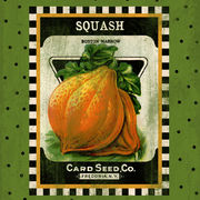 Squash Seed Pack