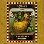 Summer Squash Seed Pack