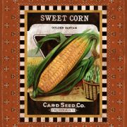 Sweet Corn Seed Pack