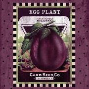 Eggplant Seed Pack