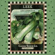 Leek Seed Pack