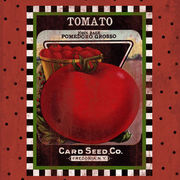 Tomato Seed Pack