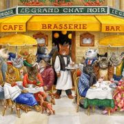 Cafe Cats