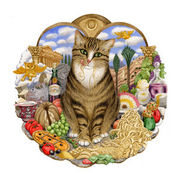 Italian cat