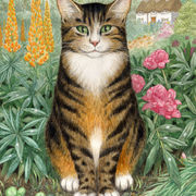 Tabby cat