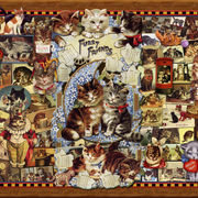 Kitty Cat Follies