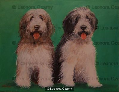 Collie Brothers