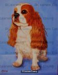 King Charles Spaniel 