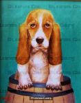 Bobby Basset