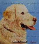Retriever 
