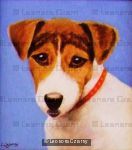 Jack Russell 