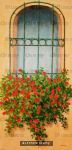The Window