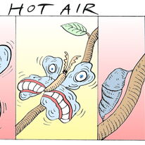 Hot Air (The Observer)