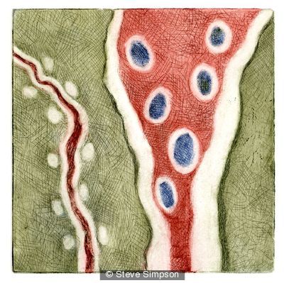 Cellstream