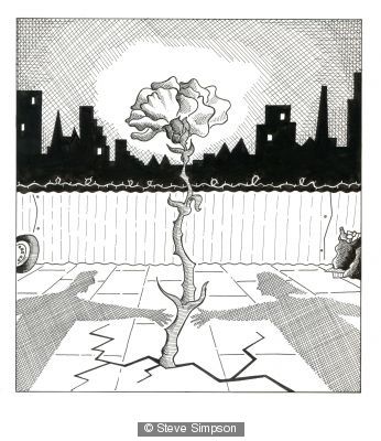 Urban Renewal