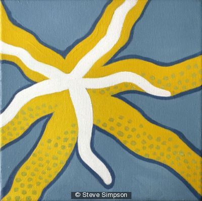 Starfish Enterprise Yellow
