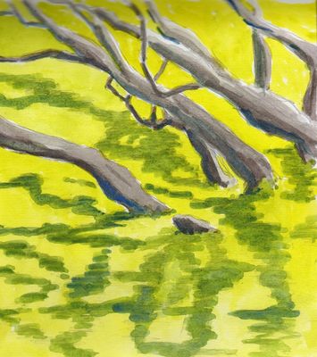 M. Richard's trees 17.VIII.09