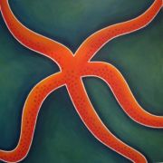 Starfish Enterprise IV