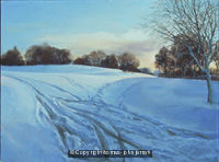 Snow at Stanborough Park